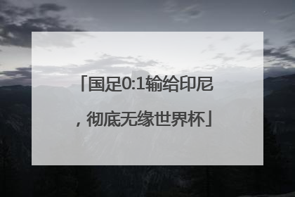 国足0:1输给印尼，彻底无缘世界杯