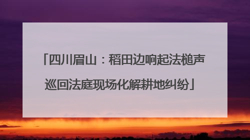四川眉山：稻田边响起法槌声 巡回法庭现场化解耕地纠纷