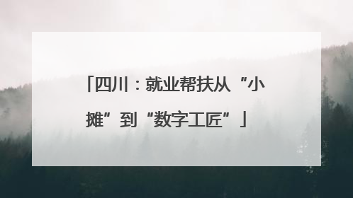 四川：就业帮扶从“小摊”到“数字工匠”