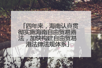 四年来，海南认真贯彻实施海南自由贸易港法，加快构建自由贸易港法律法规体系