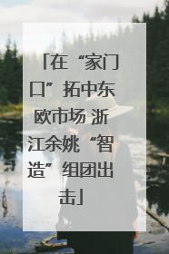 在“家门口”拓中东欧市场 浙江余姚“智造”组团出击