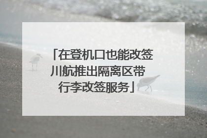在登机口也能改签 川航推出隔离区带行李改签服务