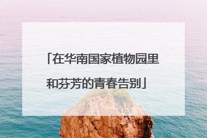 在华南国家植物园里和芬芳的青春告别