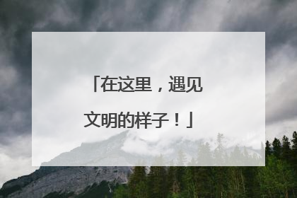 在这里，遇见文明的样子！