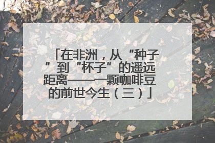 在非洲，从“种子”到“杯子”的遥远距离——一颗咖啡豆的前世今生（三）