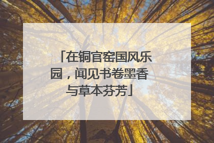 在铜官窑国风乐园，闻见书卷墨香与草本芬芳