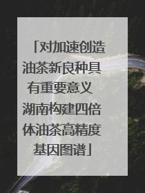 对加速创造油茶新良种具有重要意义 湖南构建四倍体油茶高精度基因图谱