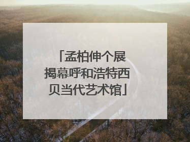 孟柏伸个展 揭幕呼和浩特西贝当代艺术馆