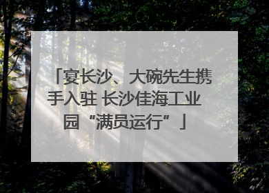 宴长沙、大碗先生携手入驻 长沙佳海工业园“满员运行”