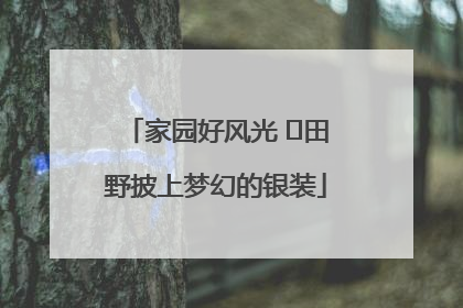 家园好风光 ⎮田野披上梦幻的银装