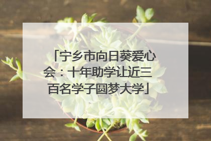 宁乡市向日葵爱心会：十年助学让近三百名学子圆梦大学