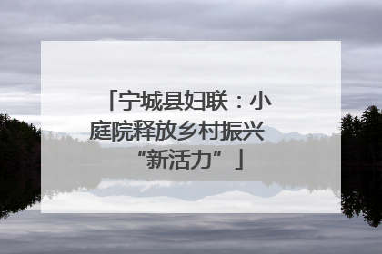 宁城县妇联：小庭院释放乡村振兴“新活力”