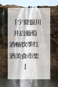 宁夏银川 开启葡萄酒畅饮季红酒美食市集