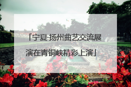 宁夏·扬州曲艺交流展演在青铜峡精彩上演