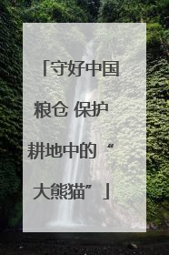 守好中国粮仓 保护耕地中的“大熊猫”