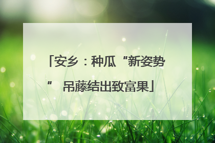 安乡：种瓜“新姿势” 吊藤结出致富果