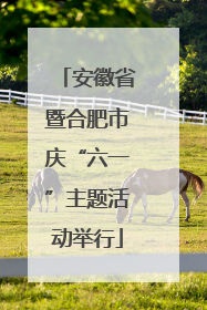 安徽省暨合肥市庆“六一”主题活动举行