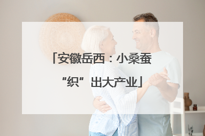 安徽岳西：小桑蚕“织”出大产业