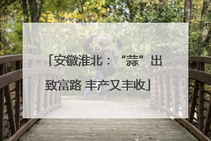 安徽淮北：“蒜”出致富路 丰产又丰收