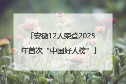 安徽12人荣登2025年首次“中国好人榜”