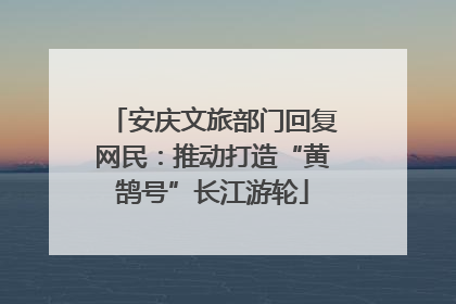 安庆文旅部门回复网民：推动打造“黄鹄号”长江游轮