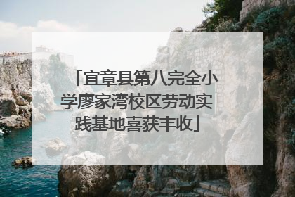 宜章县第八完全小学廖家湾校区劳动实践基地喜获丰收