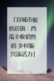 宜城市板桥店镇：西瓜丰收销售俏 乡村振兴添活力