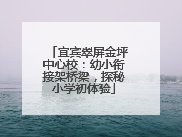 宜宾翠屏金坪中心校：幼小衔接架桥梁，探秘小学初体验
