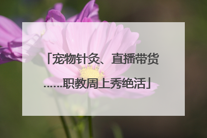 宠物针灸、直播带货……职教周上秀绝活