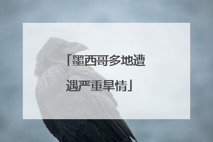 墨西哥多地遭遇严重旱情