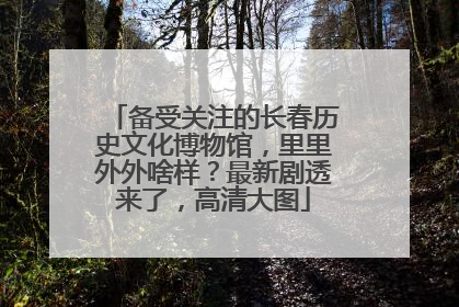 备受关注的长春历史文化博物馆，里里外外啥样？最新剧透来了，高清大图