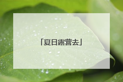 夏日露营去