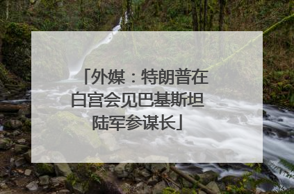 外媒：特朗普在白宫会见巴基斯坦陆军参谋长