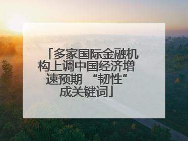 多家国际金融机构上调中国经济增速预期 “韧性”成关键词