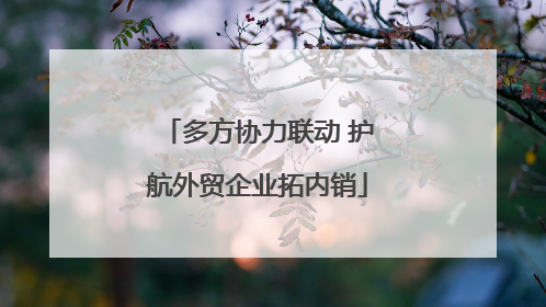 多方协力联动 护航外贸企业拓内销