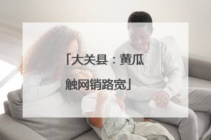 大关县：黄瓜触网销路宽