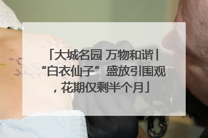 大城名园 万物和谐│“白衣仙子”盛放引围观，花期仅剩半个月
