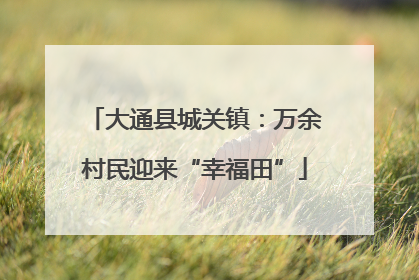 大通县城关镇：万余村民迎来“幸福田”