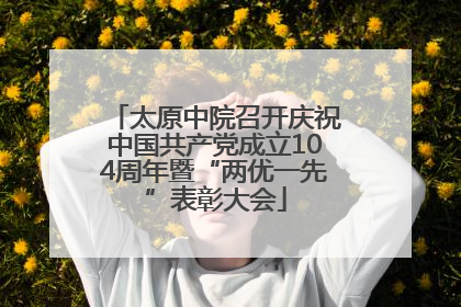 太原中院召开庆祝中国共产党成立104周年暨“两优一先”表彰大会