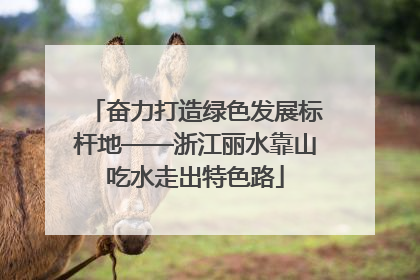 奋力打造绿色发展标杆地——浙江丽水靠山吃水走出特色路