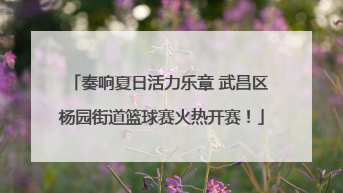 奏响夏日活力乐章 武昌区杨园街道篮球赛火热开赛！
