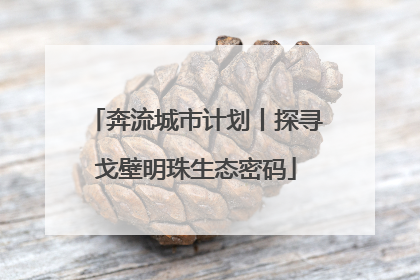 奔流城市计划丨探寻戈壁明珠生态密码