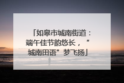 如皋市城南街道：端午佳节韵悠长，“城南田语”梦飞扬