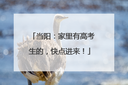 当阳：家里有高考生的，快点进来！