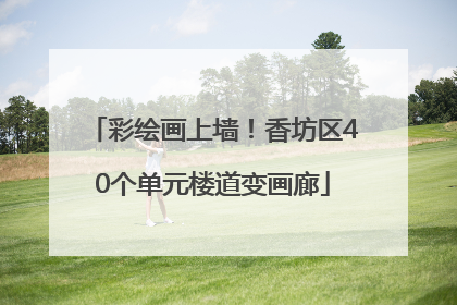 彩绘画上墙！香坊区40个单元楼道变画廊