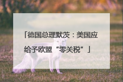 德国总理默茨：美国应给予欧盟“零关税”