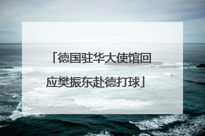 德国驻华大使馆回应樊振东赴德打球