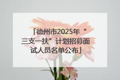 德州市2025年“三支一扶”计划招募面试人员名单公布