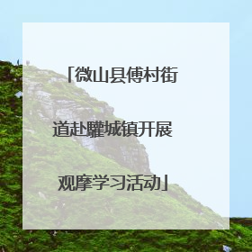 微山县傅村街道赴驩城镇开展观摩学习活动