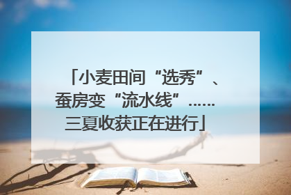 小麦田间“选秀”、蚕房变“流水线”……三夏收获正在进行